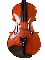 Violina 3 Trbuh